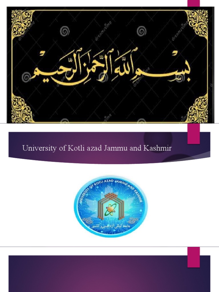 Zubair Sharif Presentation Ibf New PDF Sharia Government