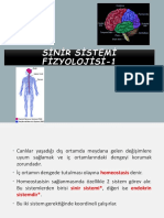 Sinir Sistemi Fizyolojisine Giriş Ve Merkezi Sinir Sİstemi