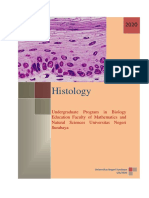 Portofolio Histology