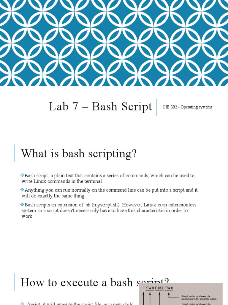 Lab 7 - Bash Script | PDF