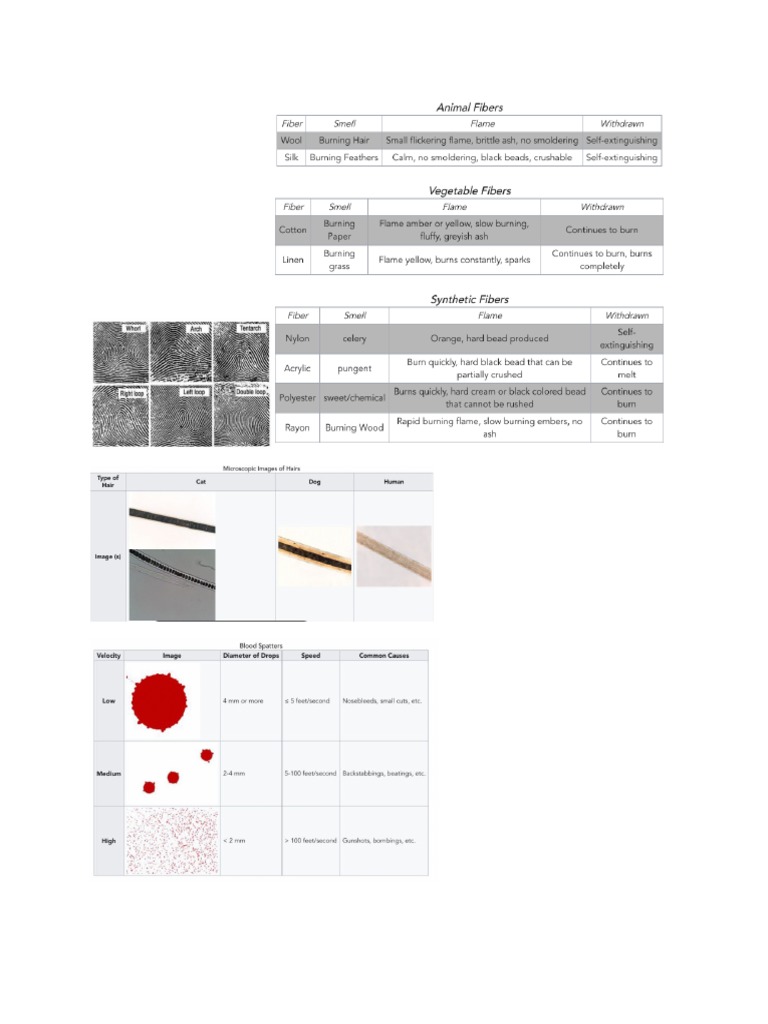Crime Busters Test Notes | PDF