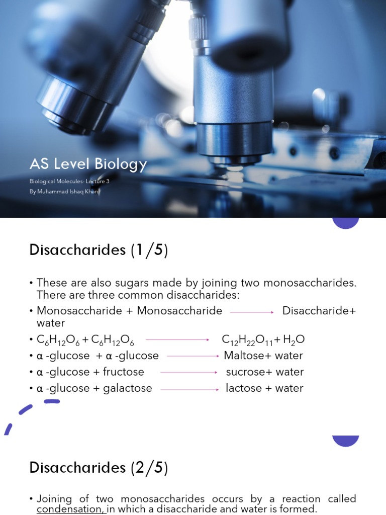 Lecture 3 Biological Molecules | PDF