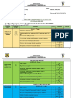 Planificare Dirig - 6