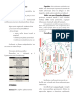 Farmaco 5 - Antiprotozoários