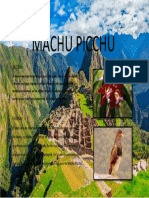 Machu Picchu