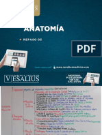 Anatomía - Repaso 05