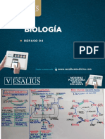 Biología - Repaso 04