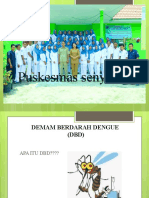 DEMAM BERDARAH DENGUE (DBD