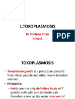 ,toxoplasmosis