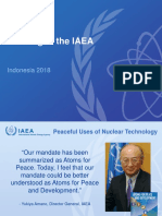 Working at The IAEA