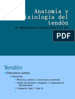 Anatomía y Fisiología Del Tendón