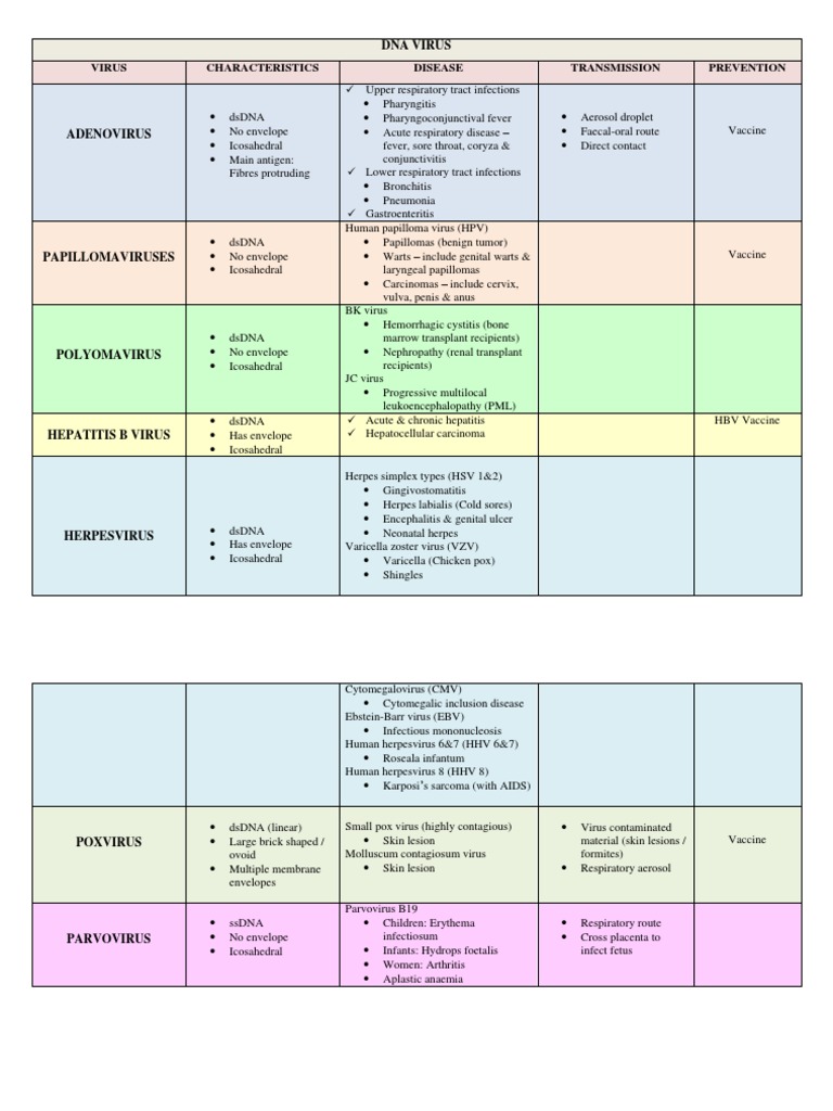 Virus Classification PDF