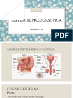 4 Sistem Reproduksi Pria