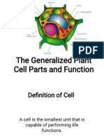 3.3.) The Generalized Plant Cell Parts and Function (BIO40)