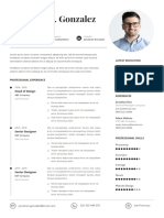 03 Professional CV Resume