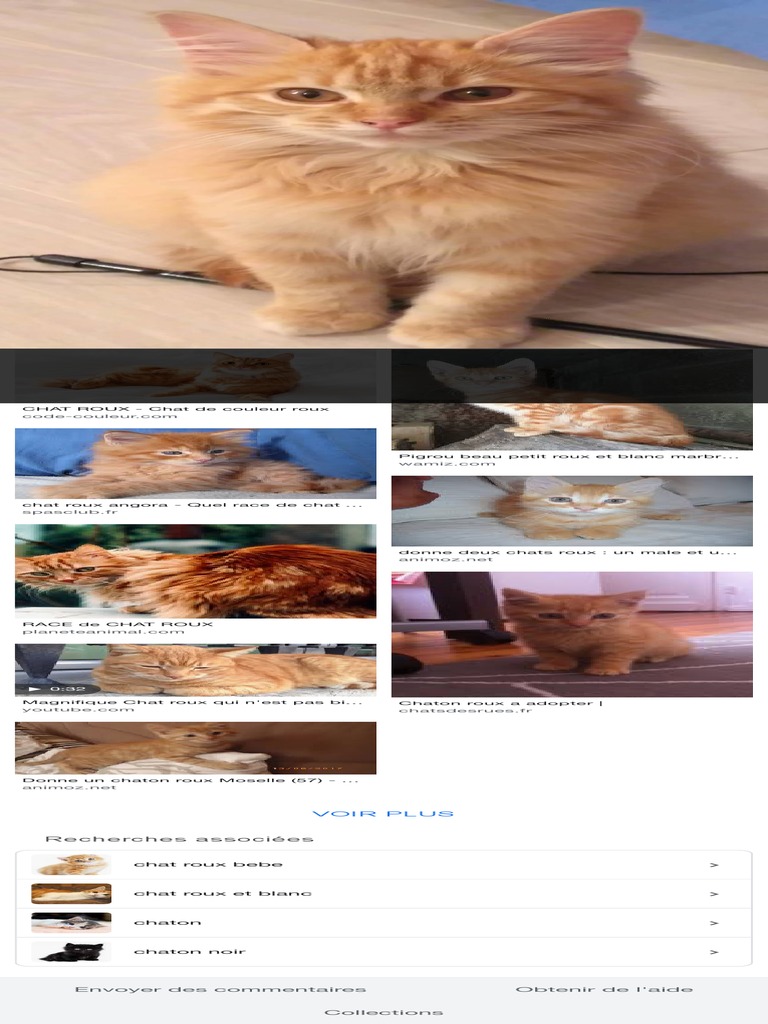 Chat Roux - Recherche Google | PDF | Mystère, thriller et fiction ...