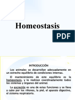 Homeostasis Veterinaria