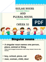 Singular and Plural Nouns Rules