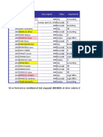 Aplicatia 2 - Formate Personalizate Si Formatarea Conditionala