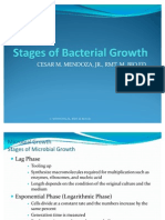 Stages of Bacterial Growth
