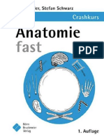 Crashkurs - Anatomie Fast