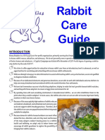 Rabbit Care Guide 11 2017