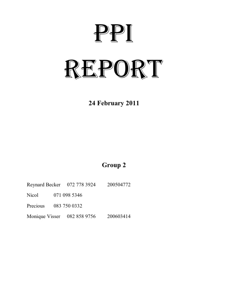 Ppi Report PDF Economies Business