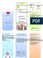 PDF Leaflet Nstemi