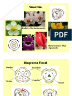 Cap. IV Bo - 6. Simetria-Diagrama-Formula