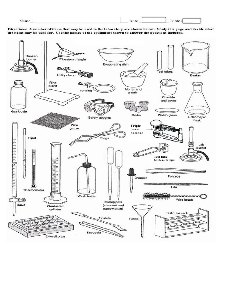 Worksheet Science Lab Tools and Equipment PDF