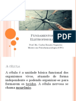 Fundamentos de Eletrofisiologia