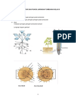 LKPD Struktur Dan Fungsi Jaringan Tumbuhan Kelas 8