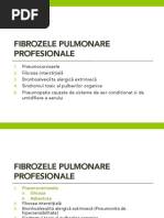 C3. Pneumoconioze