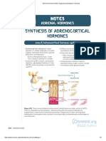 Adrenal Hormones Notes - Diagrams & Illustrations - Osmosis