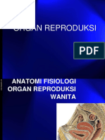 Anatomi Fisiologi Sitem Reproduksi