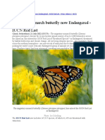 Article - Migratory Monarch Butterfly Now Endangered - Iucn Red List