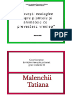 Povești Ecologice Despre Plantele Și Animalele Ce Prevestesc Vremea"