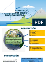 Sesión 8 Los Microorganismos y Los Ciclos Biogeoquimicos