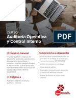 Curso Auditoria Operativa y Control Interno