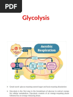 Glycolysis