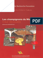 Les Champignons Du Maroc - CRF - 2011