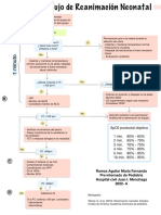 Esquema de Reanimación Neonatal 