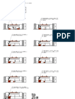 Etapas Macaqueamento-Model PDF