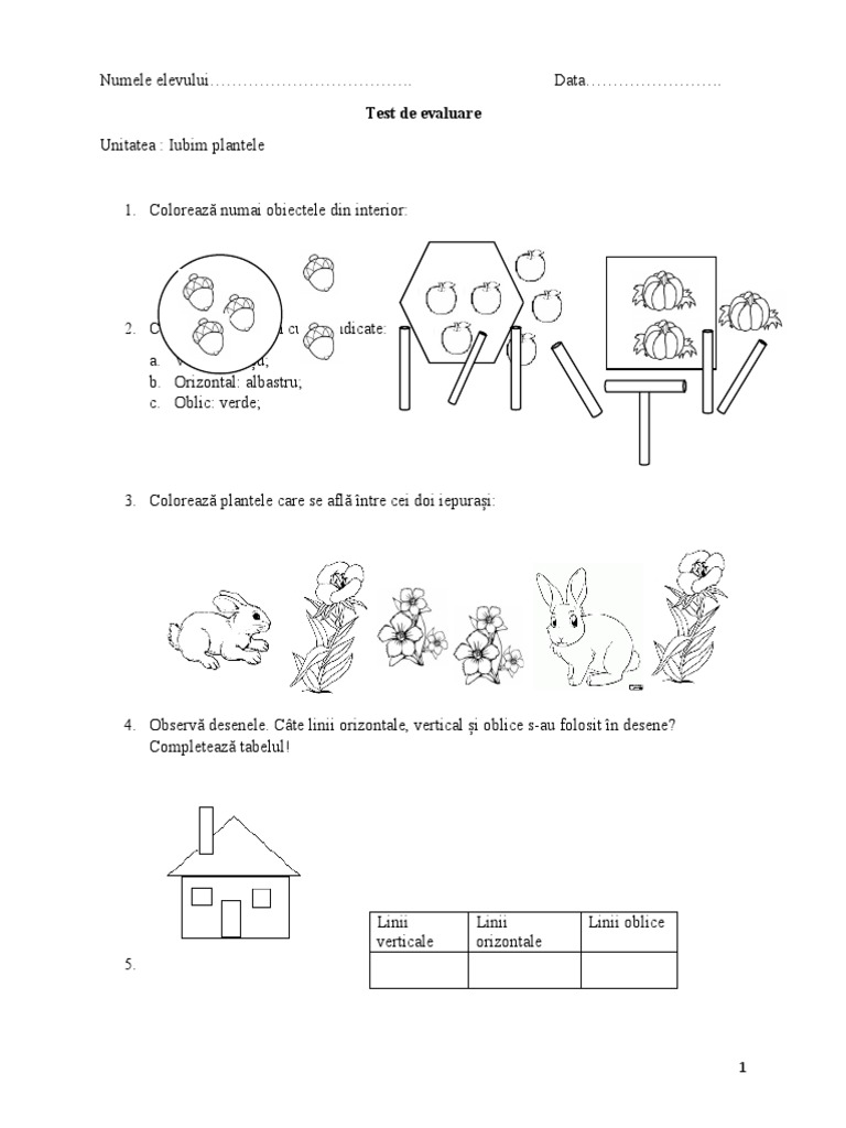Test Mem - Clasa I - Cu Descriptori | PDF