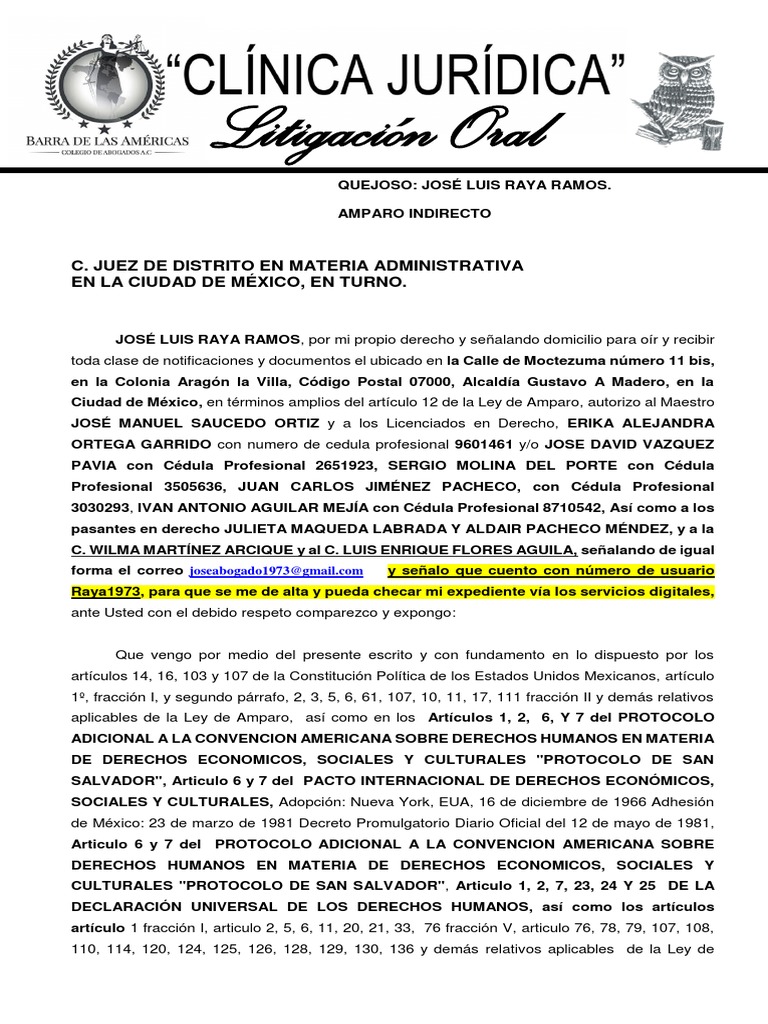 Amparo 1 | PDF | Derecho Constitucional | Caso de ley