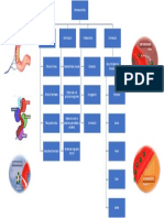 Mapa Conceptual 4