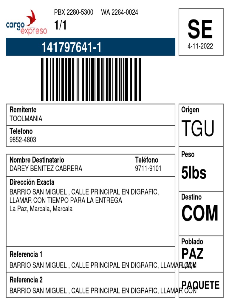 Guías CARGO EXPRESO PDF