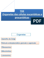 TDE Organelas