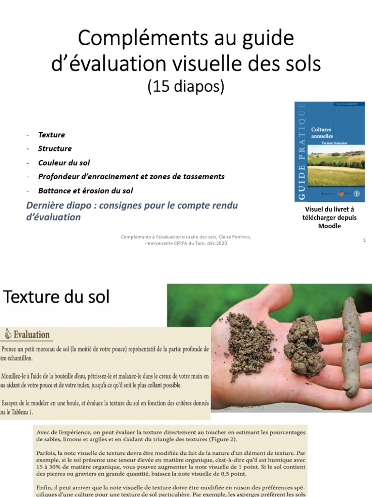 Évaluation visuelle des sols et textures | PDF | Sol (pédologie) | Argile