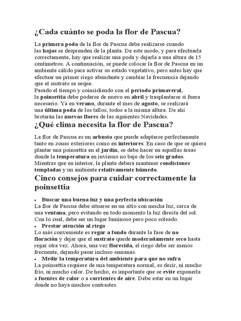 Cada Cuánto Se Poda La Flor de Pascua PDF Flores Riego